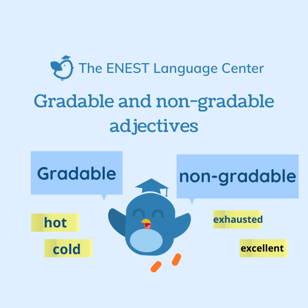 #2: Tính từ phân cấp và không phân cấp (Gradable and non-gradable adjectives)